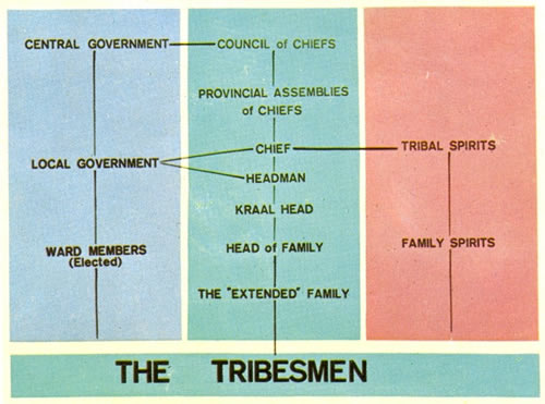 Simplified tribal structure in Rhodesia