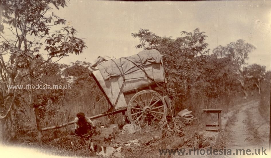 Outspan - A Cape-cart on the Ayrshire Road north of Salisbury 1902